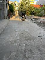 Chính Chủ Cần Bán Lô Đẹp – Đông Mai, Lạc Đạo, Hưng Yên, Giá Tốt: 0835459289