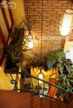 ️️️Bán Nhanh Ở+KD Mặt Tiền P.Chợ Lớn Quận 5 SHR Ở Ngay.️️️