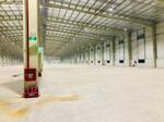 CHO THUÊ NHÀ XƯỞNG 10.000M² – CẨM GIÀNG HẢI DƯƠNG