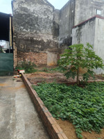 bán đất 80m2, 5 tỷ, xã phù đổng, gia lâm, hà nội, đẹp xuất sắc