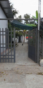 nhà cho thuê nhà mặt tiền hương lộ 39