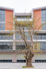 chính chủ chuyển nhượng shophouse nhà phố thương mại 140m giá 20 tỷ