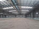 Cho Thuê Xưởng Hơn 1ha6 Mới 100% Kcn Nhơn Trạch Tỉnh đồng Nai. Trạm điện Công Suất 2500kva