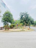 Bán lô đất siêu đẹp Khu Nam đầm vạc, Vĩnh yên. góc 2 mặt tiền.