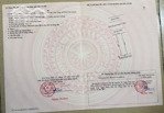 bán đất tái định cư hòa liên 3 đường ngô miễn, giá 2 tỷ 920tr, sổ hồng riêng, thổ cư 100%