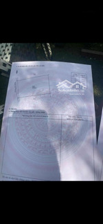 bán 1000m2 với giá 580tr trọn sổ rẻ nhất bảo bình đất bằng + vuông vức dân cư + trên đất trồng mít