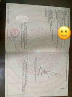 bán dãy trọ 7 phòng mặt tiền diện tích khủng 149m2 giá nhỉnh 7.x tỷ