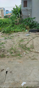 giá đầu tư, đất tây tựu, 92m2, mặt tiền 6m, xây ccmn, ô tô cách 10m, giá ~ 100 triệu/1m2, qh ngon