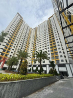 cần cho thuê căn hộ tecco home an phú