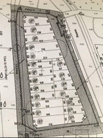 chính chủ bán đất đấu giá ao đầu vôi - bình minh - tam hưng - thanh oai - hn. trục chính tl 427b