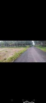 bán gấp nhà riêng tại an điền, bến cát, bình dương, 3,7 tỷ, 1100m2