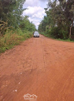 bán đất tại xã thanh lương, bình long, bình phước, 700 triệu, 1000m2