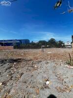 Đất Mặt Tiền Hương Lộ 7 Kinh Doanh Đa Ngành Nghề Giá Chỉ 550 Triệu Trả Trước