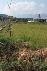 cần bán lô đất mặt tiền đường nhựa 10m