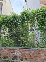 bán đất q2 - hxh đường số - lê văn thịnh- 74 m2- giá : 6.2 tỷ