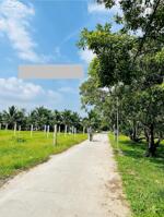 Đất nền mặt tiền giá rẻ lộ đan đường xe hơi 7c. Kim Sơn. Tiền Giang.