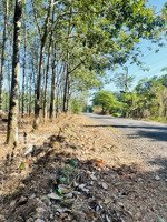 bán gấp hơn 1,8ha( 18.279m2) đất 2 mặt tiền sau cụm khu công nghiệp mỹ phước 2,3 giá rẻ đường 18m