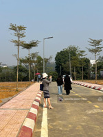 mở bán khu đất full thổ cư thắng đầu phú cát.