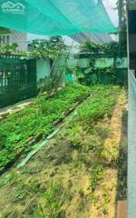 BÁN ĐẤT THỔ CƯ VỊ TRÍ ĐẸP PHƯỜNG AN BÌNH 80M2 GIÁ 2 TỶ 580