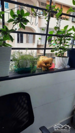 chung cư nguyễn tri phương, p8, q5, 70m2, 2pn, 1wc, lầu 4, thang bộ, 9tr/th.