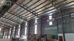 Cho thuê kho xưởng cụm CN Tân Quang, Văn Lâm, Hưng Yên dt 2000m2 báo cháy tự động