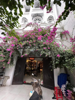 cần bán biệt thự mini đường số kdc nam hùng vương, an lạc, bình tân