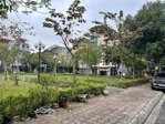 bán đất tái định cư giang biên, 65m2 view vườn hoa hiếm, đẹp