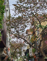 hiếm thửa đất phố lê đại hành trung tâm hai bà trưng
diện tích 26m, thửa đất vuông vắn