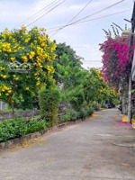 nhà liền kề 2 tầng thạnh lộc 29 - 66m (4x17) - hxh - nhỉnh 5 tỷ