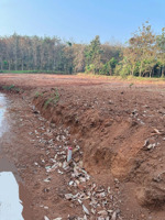 chính chủ kẹt tiền bán gấp đất đồng nai giá chỉ 199 triệu/ 340m2