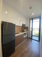 cho thuê căn 1 ngủ trung tâm quận đống đa sẵn nhà vào ở luôn, full nội thất 5 sao. lh: 