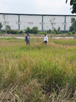 đất nền f0. thổ cư full cần bán gấp