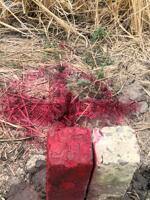 Nền thổ cư ấp 6 Tân Bửu gần vành đai 3