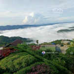 siêu phẩm nghỉ dưỡng trạm hành - đà lạt - 462m2 đất xây dựng - view săn mây chỉ 11tr/m2