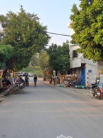 bán đất lệ chi- gia lâm- đường trước nhà 11m( nói 0 với ảo)