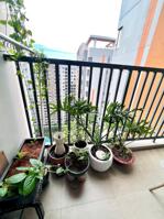 KHÔNG THỂ BỎ LỠ HÀNG HIẾM GIÁ TỐT: SAFIRA 2PN 2WC NTCB 8 TRIỆU (Có máy lạnh)