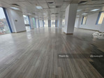 cho thuê mặt bằng văn phòng phố trần quốc toản 133m2 giá 60 tr