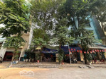 bán đất phố trần quang diệu 356m2, mt 10m, view công viên, ô tô tránh kinh doanh