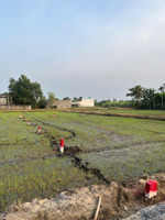 bán đất bình lợi hkđ chính chủ, giá rẻ, sổ hồng, dân đông 590 triệu/ nền