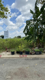 bán đất nam rạch chiếc 5x16m, liền kề game riverside, trước senturia, giá 13,7 tỷ 