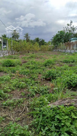 mình chính chủ cần bán lô đất tạitân khánh ,suối hiệp