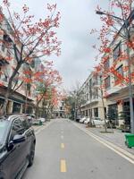 Bán căn liền kề khu vườn Thiền, Ecopark Hải Dương, 96m2, mt 6m, 3.5 tầng, vị trí đẹp, giá tốt