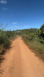 1,5 SÀO = 950 TRIỆU LỘC ĐỨC, BẢO LỘC, QUY HOẠCH THỔ CƯ, CÁCH LÊ BẢO TỊNH 500M