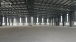 Cho Thuê Nhà Xưởng Sản Xuất 7000m2 Chính Chủ Khu Vực Thuận Giao, Bình Dương (cũ)nay Thuộc Tp. Hcm