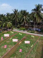 bán đất vườn tân phú đông, tiền giang - giá 199 triệu 315m2 (giá tốt nhất khu vực)