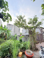 bán đất tại bưng ông thoàn, 4,88 tỷ, 66m2, mặt tiền 5.5m bao đẹp