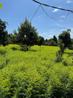 rẻ hơn thị trường 20% - siêu hiếm view cực chill ngang 20m x 105m - ngay cửa ngõ đà lạt