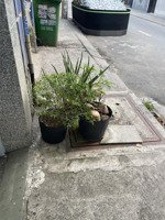 cho thuê gấp nhà trọ 15m2 tại 362/75 đường hiệp thành 13, tân thới hiệp, q12, 1,7 triệu