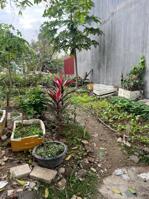  ĐẤT TRỐNG MẶT ĐƯỜNG ĐỐNG ĐA – MỸ TRANH – AN DƯƠNG – HẢI PHÒNG