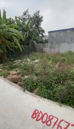 Bán đất 50m2 Tràng Duệ An Dương Hải Phòng